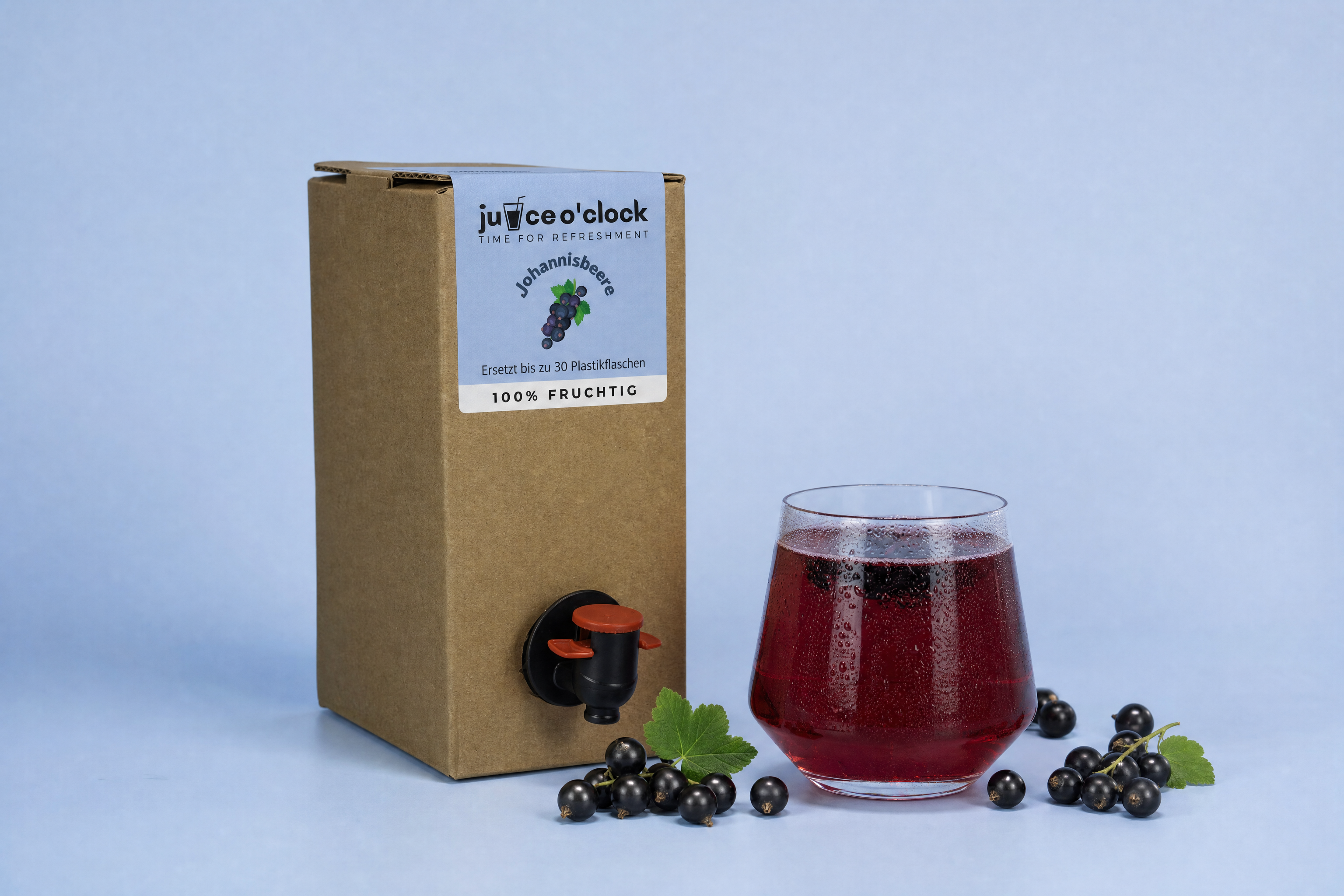 Umweltfreundliche Juice Sirupbox Klassik (1,5L)